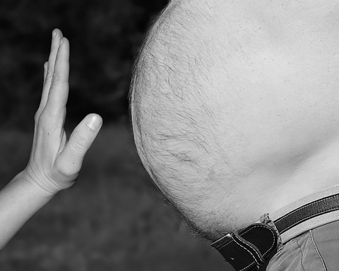 obesity-gdd50da4b8_640