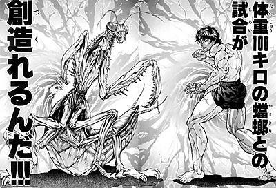 baki-kamakiri