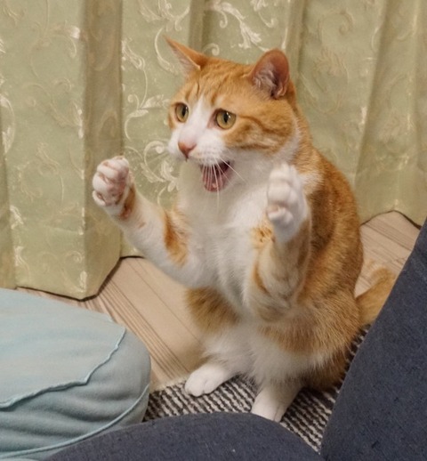no title