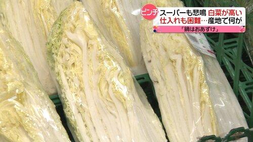 【朗報】大竹しのぶ「葉物野菜の値段が高すぎる！今の政府はおかしい！何してるの！？」