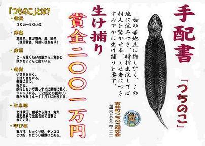 yosiitutinokotehaisyo