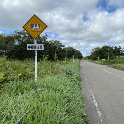 牛横断注意の道路標識