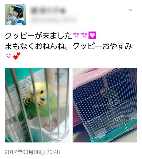 バカッター