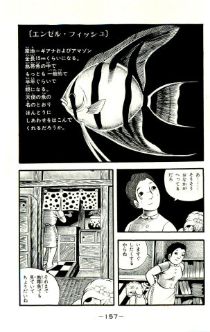 5393d317.jpg