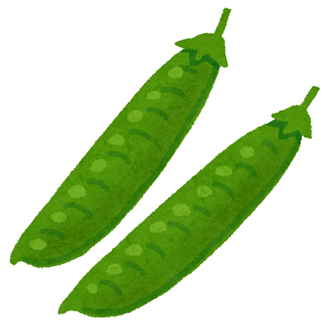 エンドウ