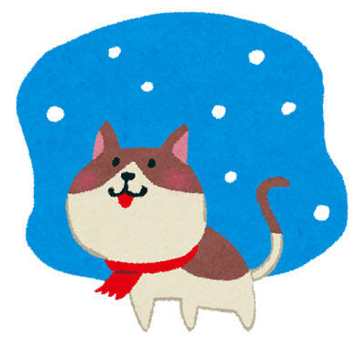 猫 雪