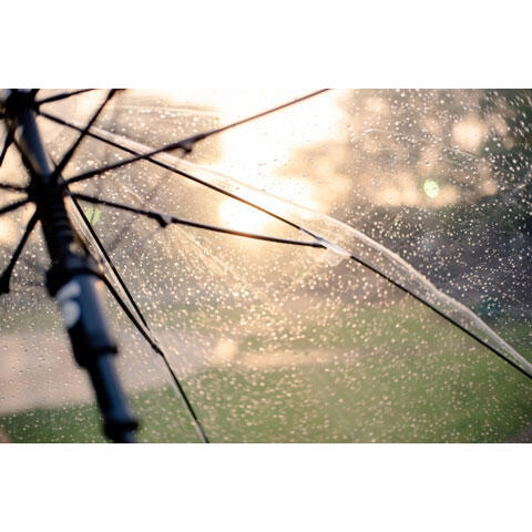 天気雨　狐の嫁入り