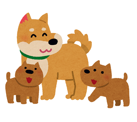 子犬