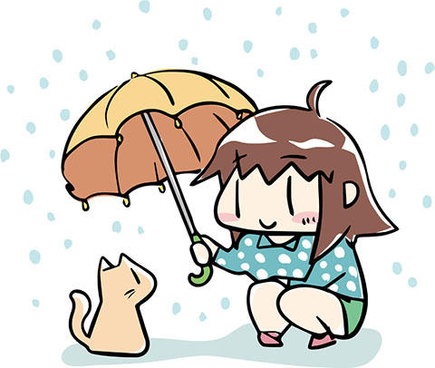 野良猫