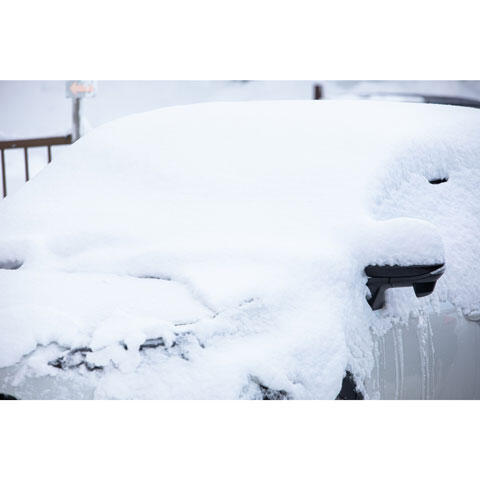 雪が積もった車の写真