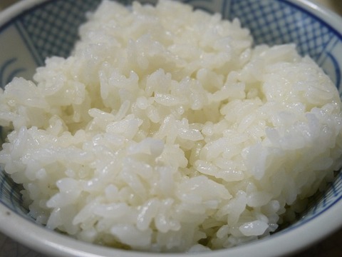 usd-gb567a1b16_640