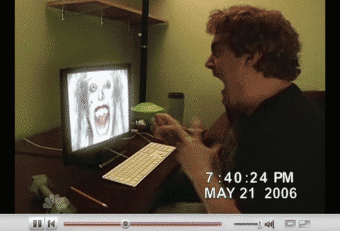 外人がバカやってるgifください ネギ速