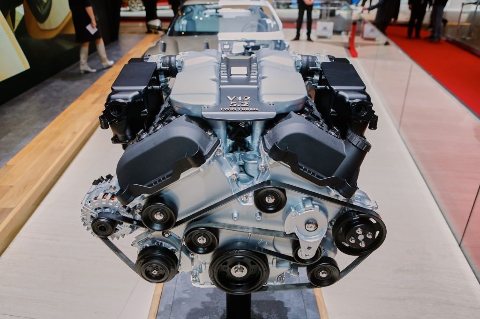 812b3e52.jpg