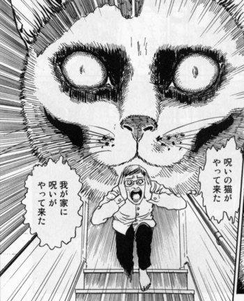 猫 可愛くない