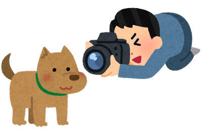 画像あり うちの犬かわいすぎワロタwwwwwwww ネギ速 画像あり うちの犬かわいすぎワロタwwwwwwww ネギ速