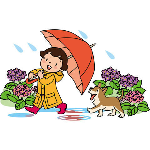 傘を差して雨の中を歩く女の子と犬