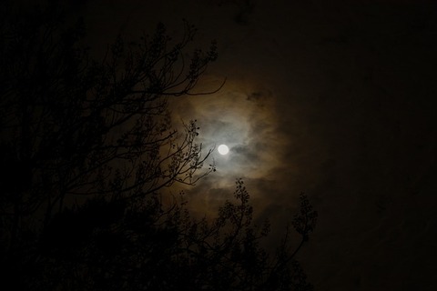 night-gcdb6886af_640