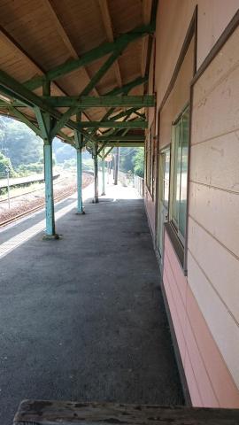 9c6f8981.jpg