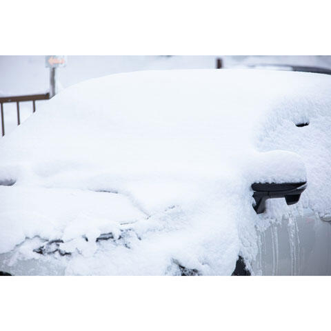 雪が積もった車