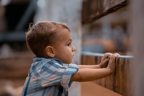 boy-g62874de10_640