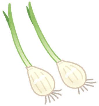 発芽にんにく
