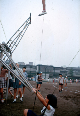 b66a868b.jpg
