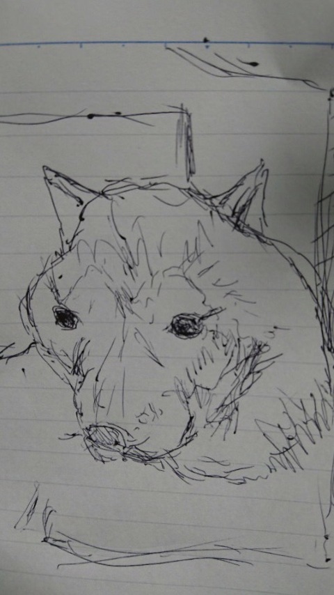 画像あり ヒトラーが描いた犬の絵wwwwwwwwwww ネギ速 画像あり ヒトラーが描いた犬の絵wwwwwwwwwww ネギ速