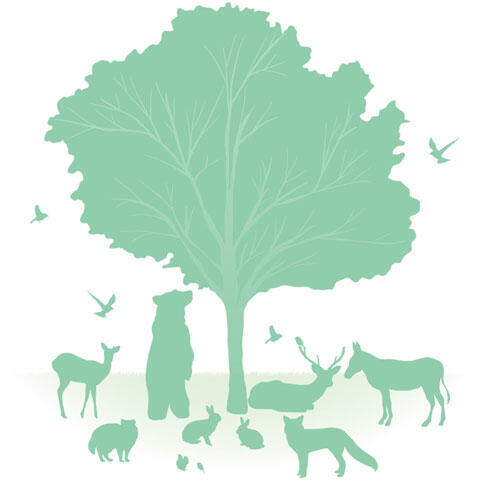 木と動物たちのシルエット