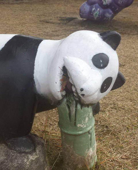 no title