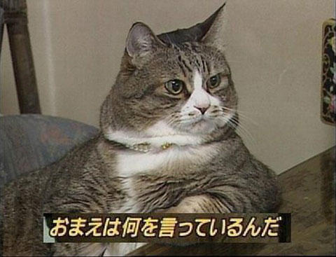 t247359305728e7287393727058673r28372046273c
