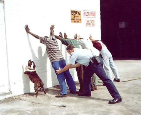 bc1fcf05.jpg