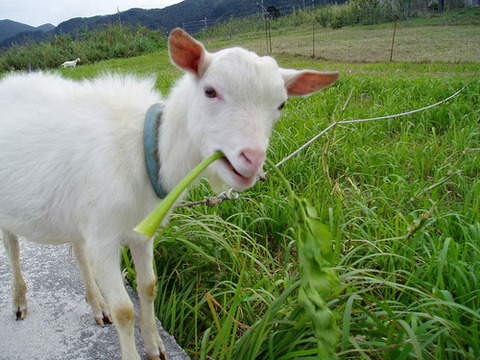 8026360823_5cb119c641