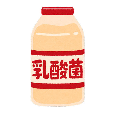 乳酸菌飲料