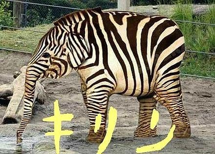 キリン