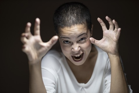 mad-g09b51789d_640