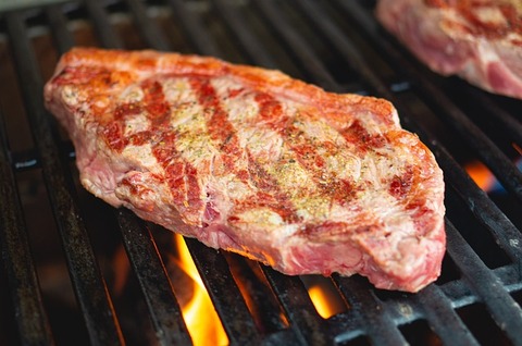 meat-g69237270b_640