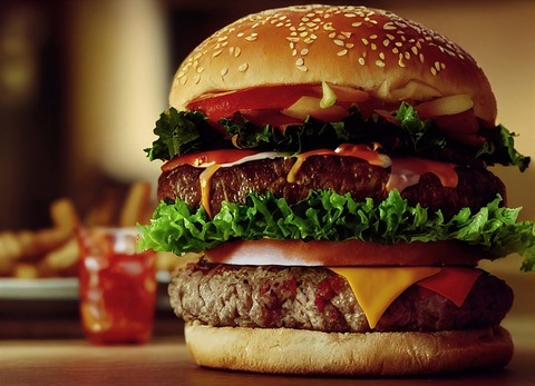 burger-g3befff3ed_640