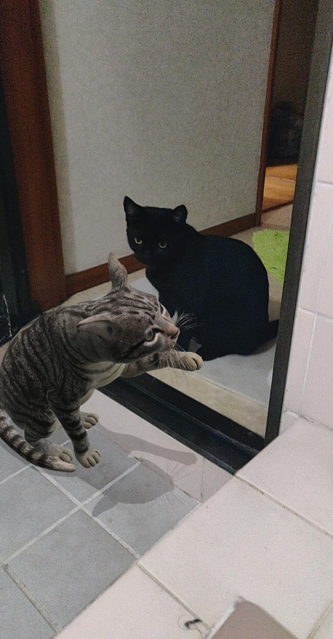 no title