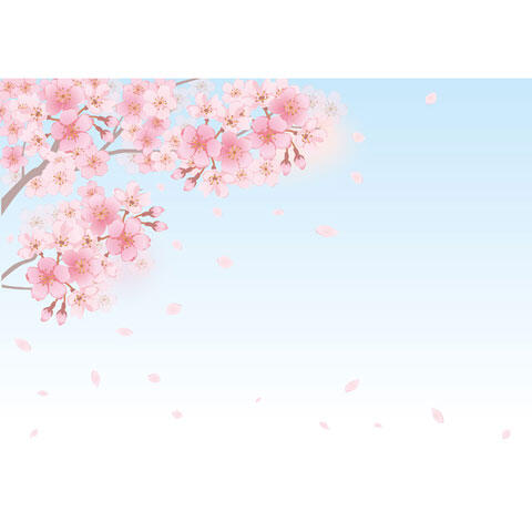 桜の花と風に舞い散る花びら