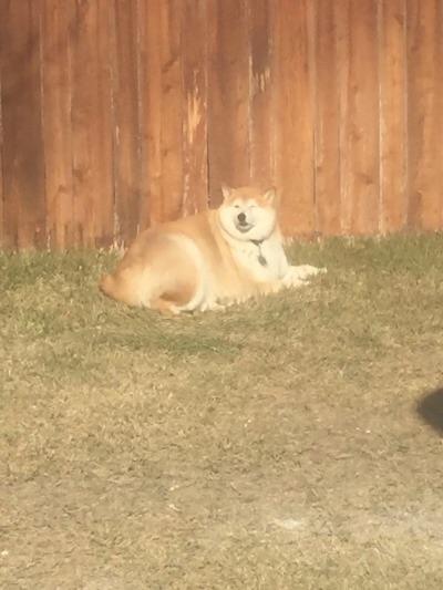 画像あり ガイジーヌ 現るｗｗｗｗｗｗｗｗｗｗｗ ネギ速