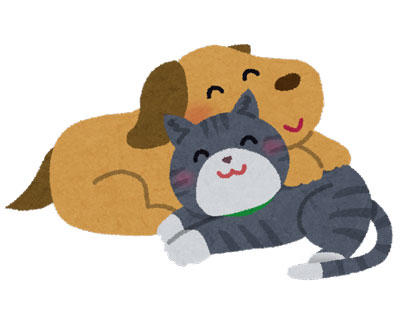 犬 猫