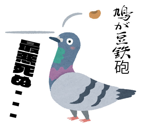 鳩が豆鉄砲