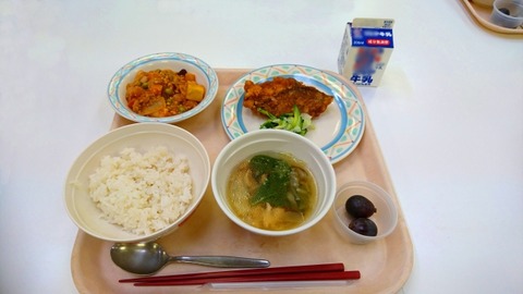 給食