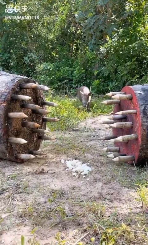 no title