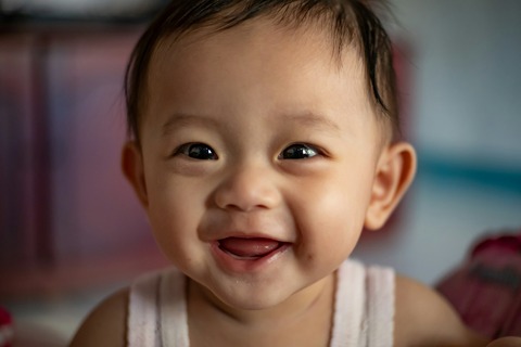 reynardo-etenia-wongso-EHmoH8aCQqU-unsplash