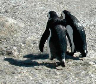 img20070330_3_p