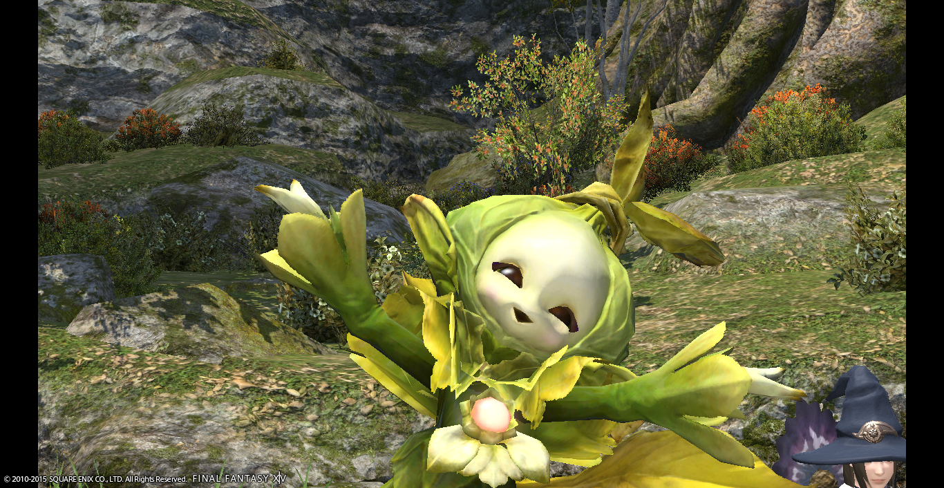 極上伽羅らしき（ただの古木） 極上伽羅らしき（ただの古木） 極上伽羅らしき（ただの古木） 日本香堂