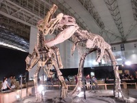 zhuchengtyrannus_05