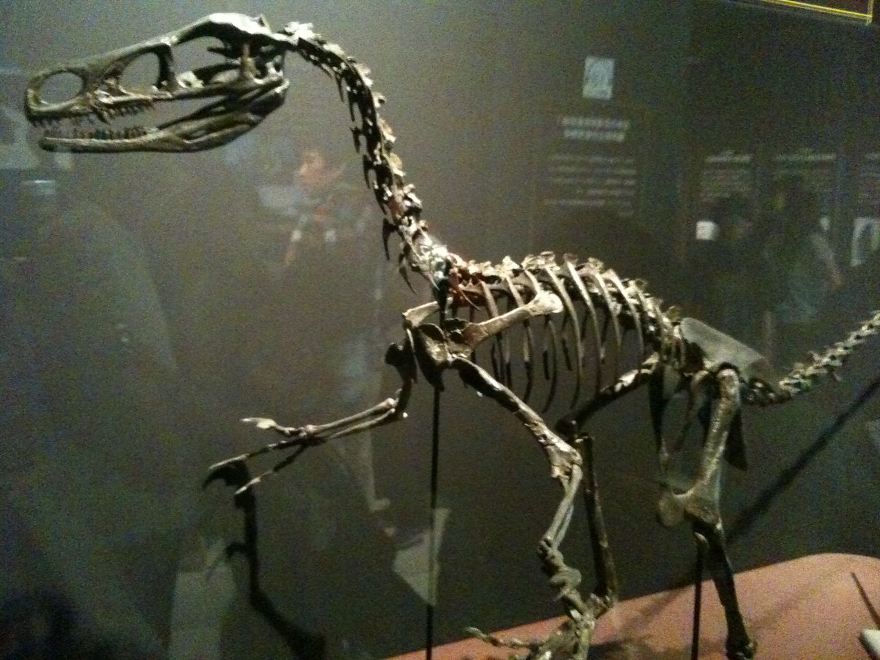 大恐竜展 その3 寝言インタラクティブ