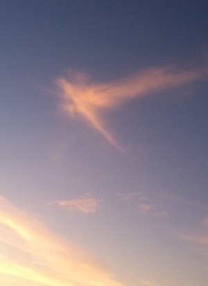 phoenix